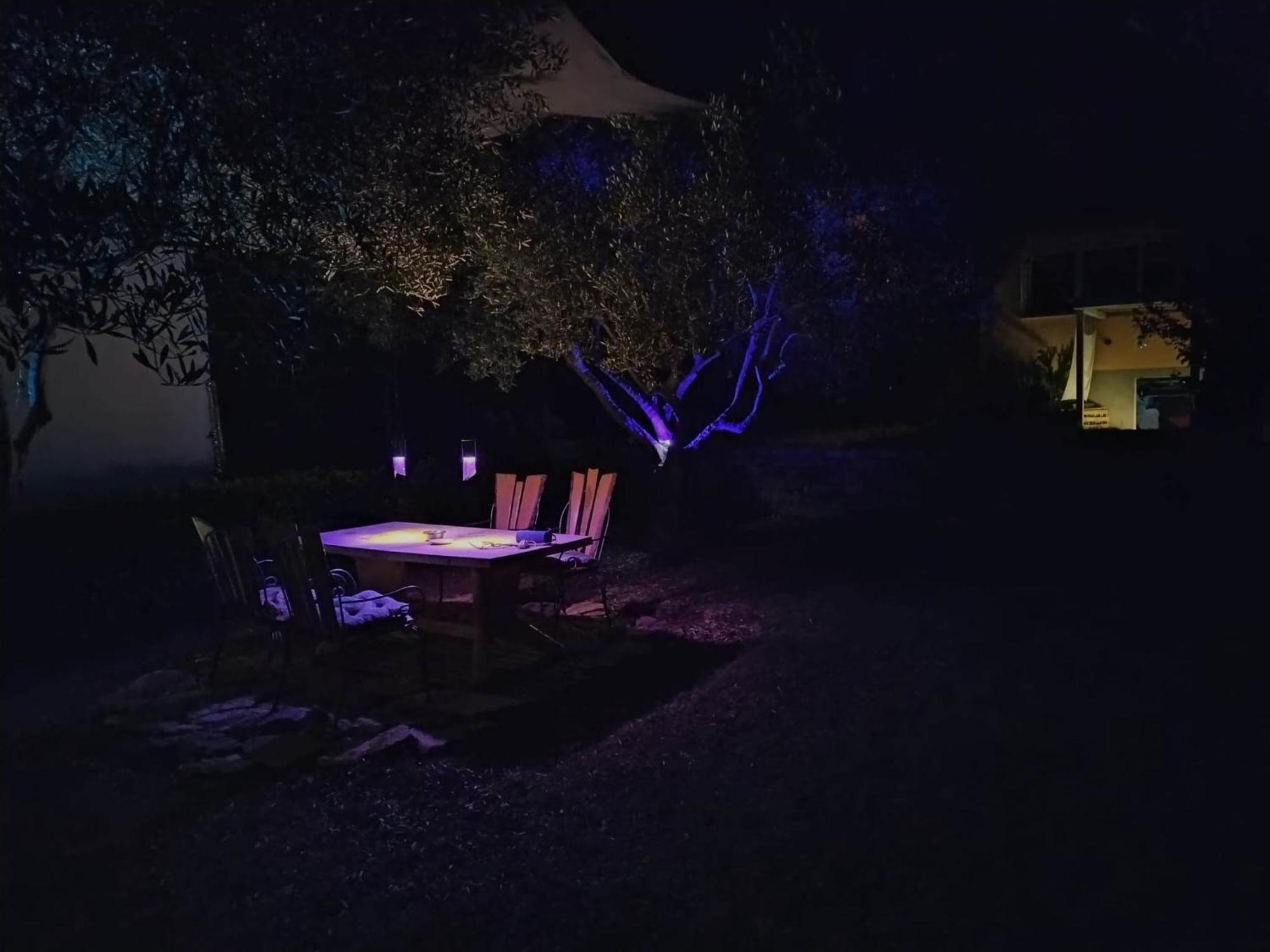 Oliver Art Apartment Πόρετς Εξωτερικό φωτογραφία